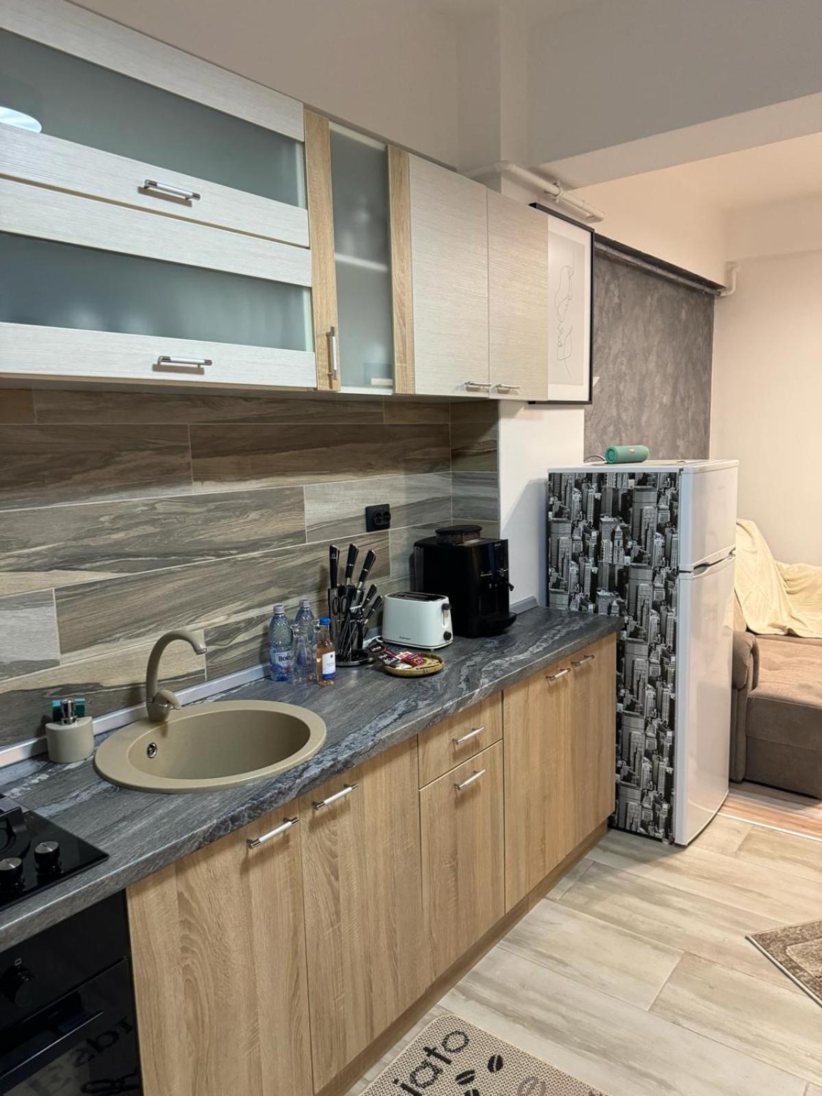 Luxury Young Residence Ιάσιο Εξωτερικό φωτογραφία